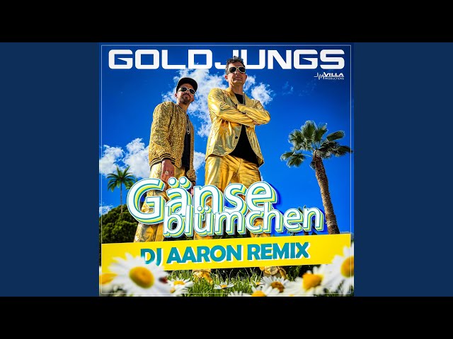 Goldjungs - Gaensebluemchen   Dj Aaron Remix