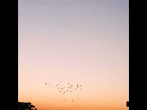 سلام على ذكريات قطمة سلام على ما فقدناه منا