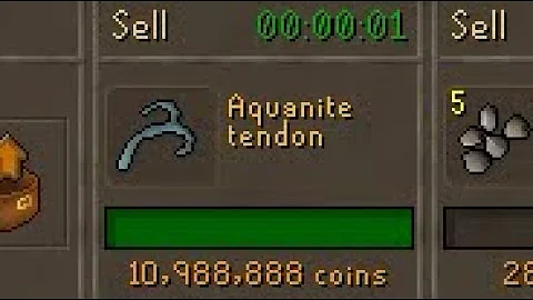 Are Aquanites worth it? (OSRS sailing dungeon)