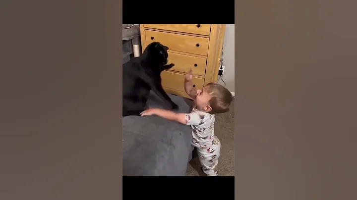 Watch the video about "Watch a Cat Play in the Bathtub – Hilarious Reactions! #BathtubCat #FunnyPets"