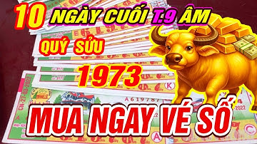 Trời cao báo tin Tuổi QUÝ SỬU 1973 TRÚNG SỐ ĐỘC ĐẮC CỰC GIÀU CÓ đúng 10 ngày cuối T9 âm