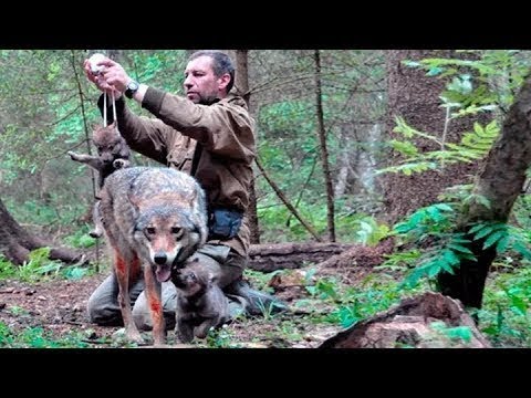 Videó: Blanc De Bouscat