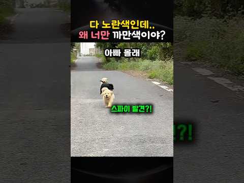 다 노란색인데..왜 너만 까만색이야?