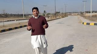 Overseas Pakistani S Views About Imran Khan