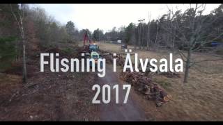 Flisning i Älvsala 2017