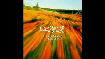 ان الله وملائكته يصلون على النبي ❤ حالات واتس اب قران 💚تلاوة خاشعة 💙 Quran Status 💜 اية قرانية قصيره