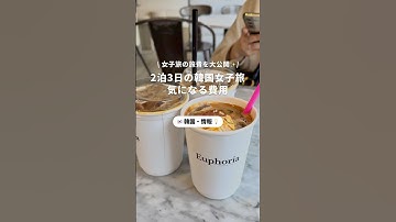 韓国旅行でかかった費用を大公開💞#韓国 #韓国旅行 #ソウル #韓国女子旅 #韓国vlog #vlog #観光 #学生旅 #大人旅 #女子旅 #旅行 #春休み #newt #NEWTで海外旅行