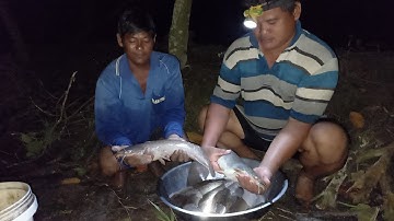 Rồi nó lôi gãy cần luôn rồi, Nó bự lắm rồi |Trãi Nghiệm Mới | #minhthuannk #camcaucaloc #trending