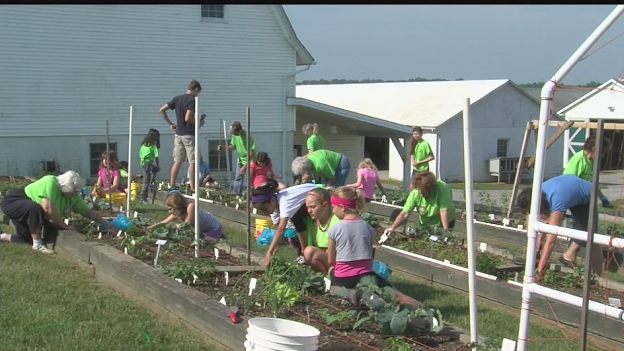 Mill Creek Park offers vegetable gardens for kids