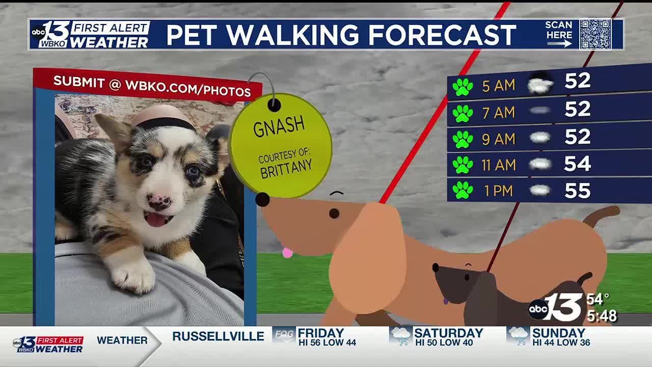A cloudy and dry Friday - YouTube
