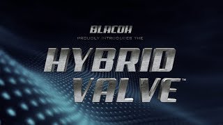 Blacoh Hybrid Valve™ Demonstration Video