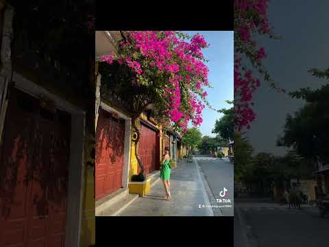 Video #review tạo dáng chụp ảnh với hoa giấy ở Hội An - youtube