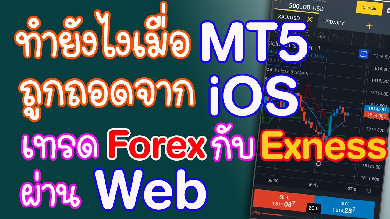 mt5-ios-forex-exness-web