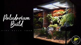 Fire Belly Toad Paludarium Build Gets Planted & Finished