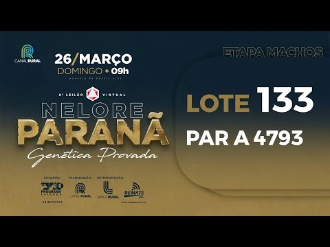 LOTE 133 PAR A4793