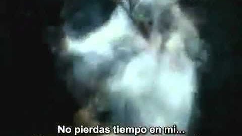 Blink 182-I miss you-Sub español