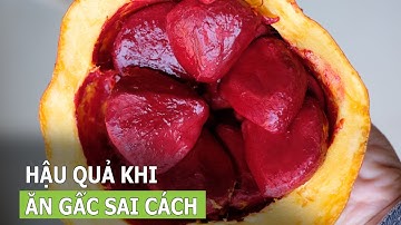 Ăn gấc không đúng cách có thể gây ngộ độc? | VTC16