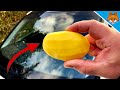 Rub your Windshield with a POTATO and WATCH WHAT HAPPENS 💥 (Amazing) 🤯