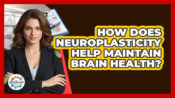 How Does Neuroplasticity Help Maintain Brain Health? - Get Retirement Help