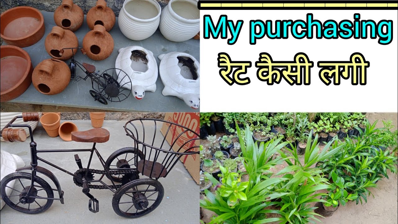 plant pots with rates/ my Jaipur purchasing/ nursery visit YouTube