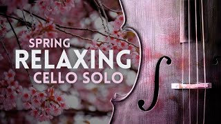 🌸 Spring 🌸 Relaxing Cello Music - Atmospheric Cello Solo Music to Relax