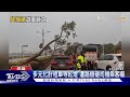 大雨狂炸! 高雄澄清湖路樹砸死遊客 中午起臨時封園1週｜TVBS新聞 @TVBSNEWS01