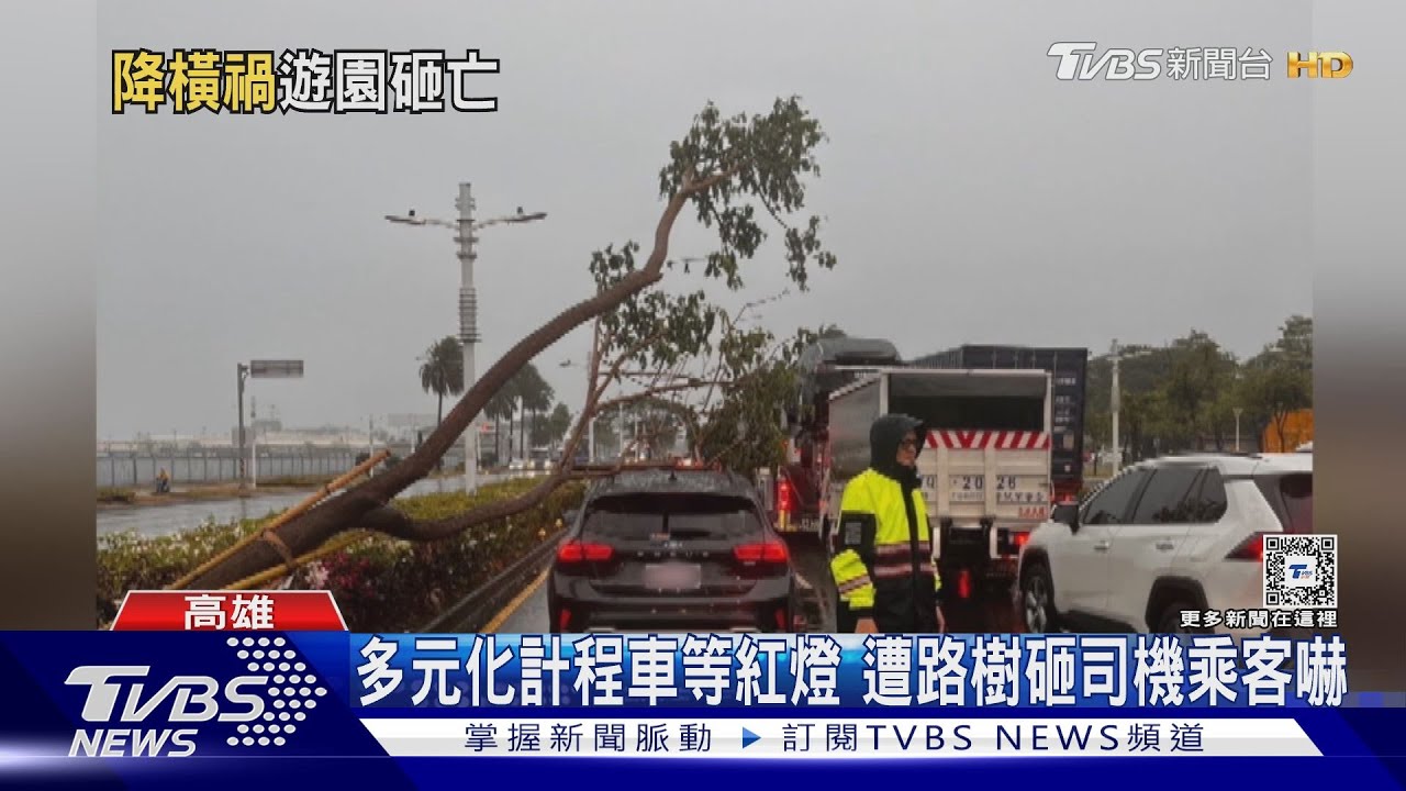 狂風暴雨！ 高雄路樹倒塌 屏東慘淹「水灌民宅」