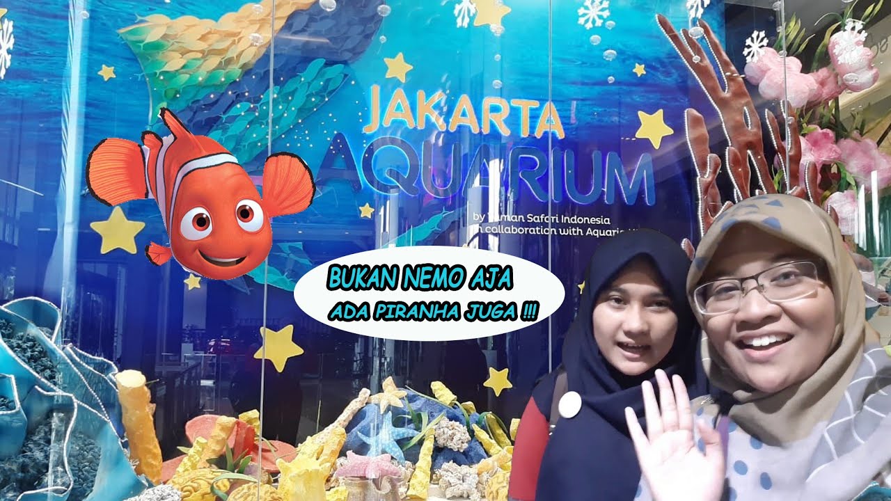 Finding Nemo 🐠🐡 di Jakarta Aquarium 🐠 : Largest Indoor Aquarium in