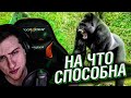 НА ЧТО СПОСОБНА ГОРИЛЛА В ЯРОСТИ // РЕАКЦИЯ HELLYEAHPLAY