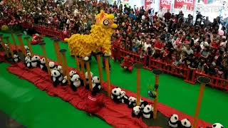 Barongsai Kong Ha Hong Indonesia. Perayaan Imlek 5 Februari 2019 Lippo Mall Puri Jakarta.