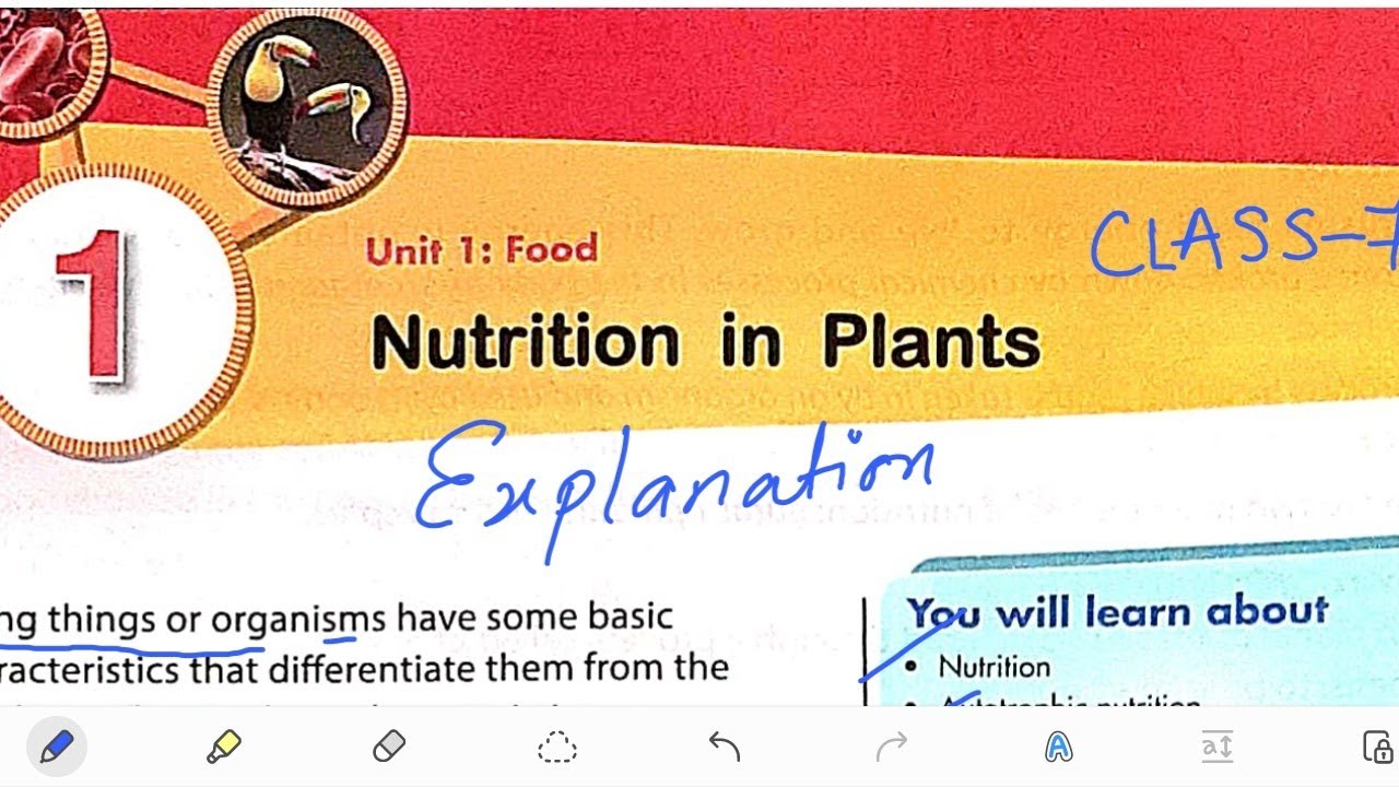 nutrition-in-plants-chapter-1-part-1-new-science-in-everyday-life-class