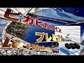 素人が下地処理から自分で車をピカピカに！超有名本格ガラスコーティング！【ピカピカレインプレミアム　前編】