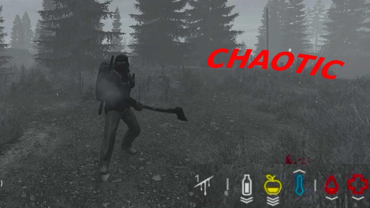 The Most Chaotic Situation I've Been in...