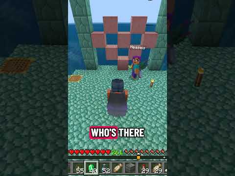 Mea Tries A Knock Knock Joke Minecraft Funny Husbandandwifegaming Minecraftgameplay 