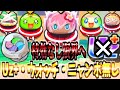 【ぷにぷに】トコナツアロハ姫達裏マップの特効なしで強キャラとウォッチ、ニャンボキャラを使った攻略は簡単ではない・・・・・・