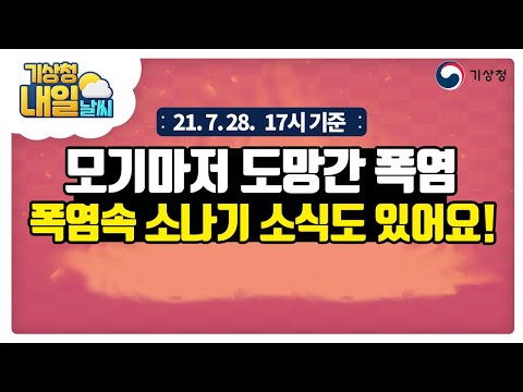 [내일날씨] 모기마저 도망간 폭염, 폭염 속 소나기 소식도 있어요!, 7월 27일 17시 기준
