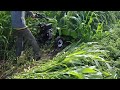 #power weeder repar