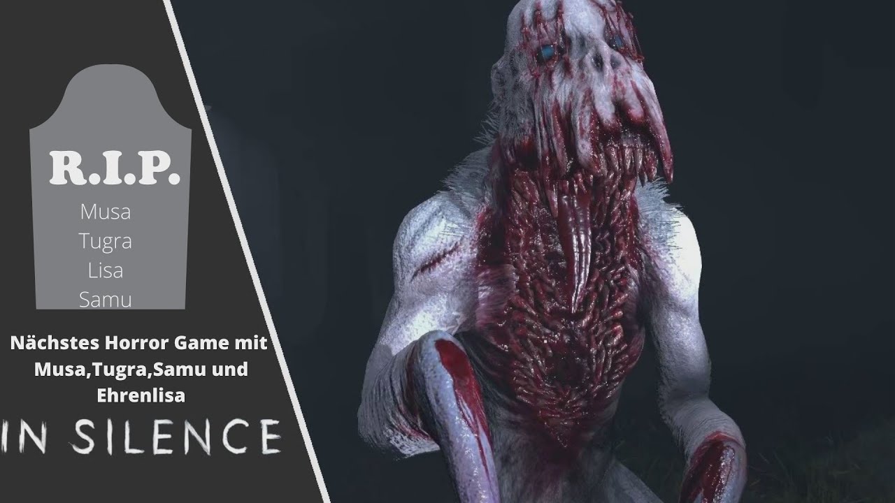 In Silence mit Zuschauern|MKtv96 Stream Highlight Kanal