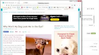 Blackboard Discussion Board Tutorial: How to Embed Hyperlinks and Videos