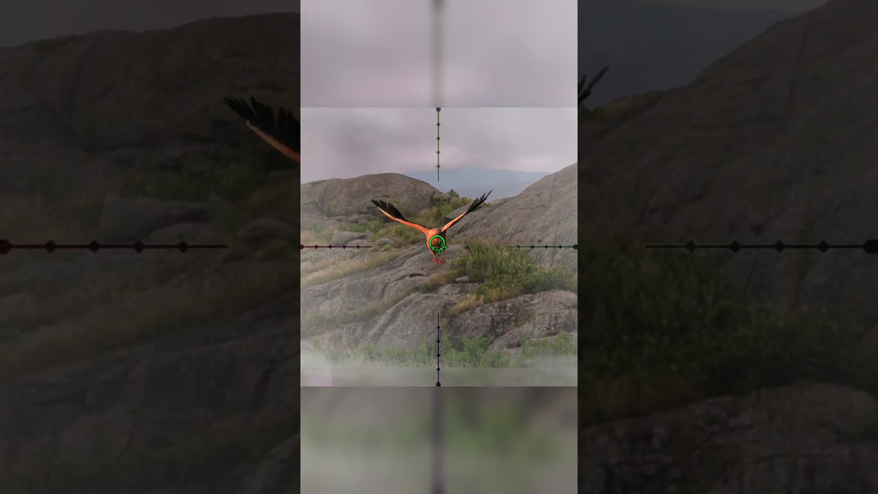 One shot one kill 🎯 Took down legendary Flamingo in Hunting Clash— 