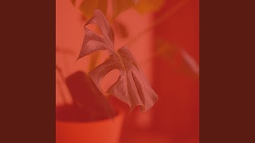 Sprightly Backdrops for Unwinding from Work