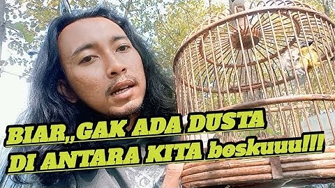 BONGKAR!!! Proses rawatan sogon bahan,jadi burung jontrot/pikat