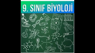 9 Sinif Bi̇yoloji̇ 2 Üni̇te İnorganik Bileşikler4 Yağ Enzim Protein Karbonhidratlar Soru Çözümü
