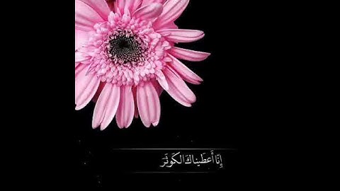 سورة الكوثر كاملة | بصوت الشيخ ماهر المعيقلي | القران الكريم ..