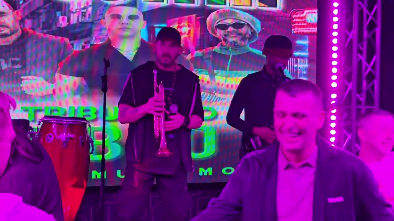 Benidorm's Cujam,  Kingston Town