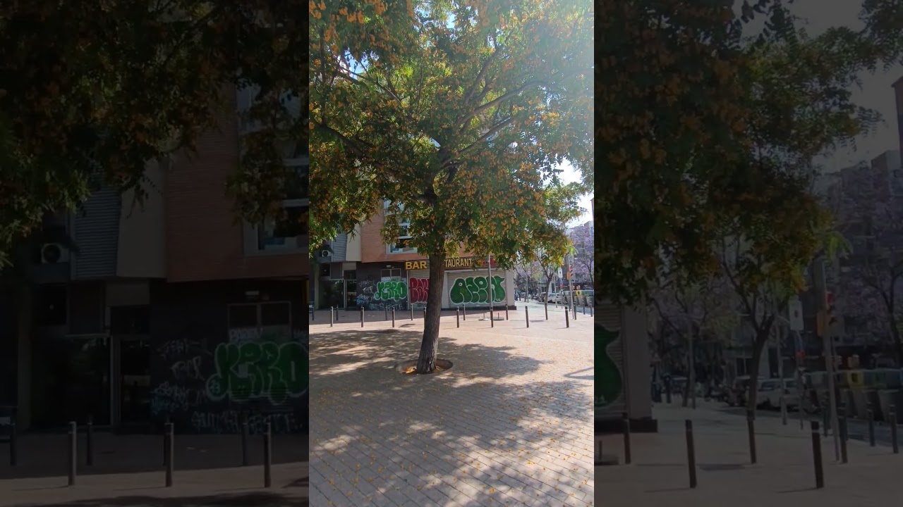 9th June 2025 🌼💜