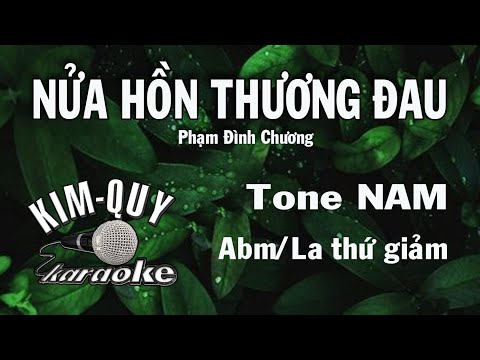 NỬA HỒN THƯƠNG ĐAU - KARAOKE - Tone NAM ( Abm/La giáng thứ )