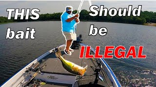 Full The Bass Fishing Study That Changed My Fishing Ways... Update