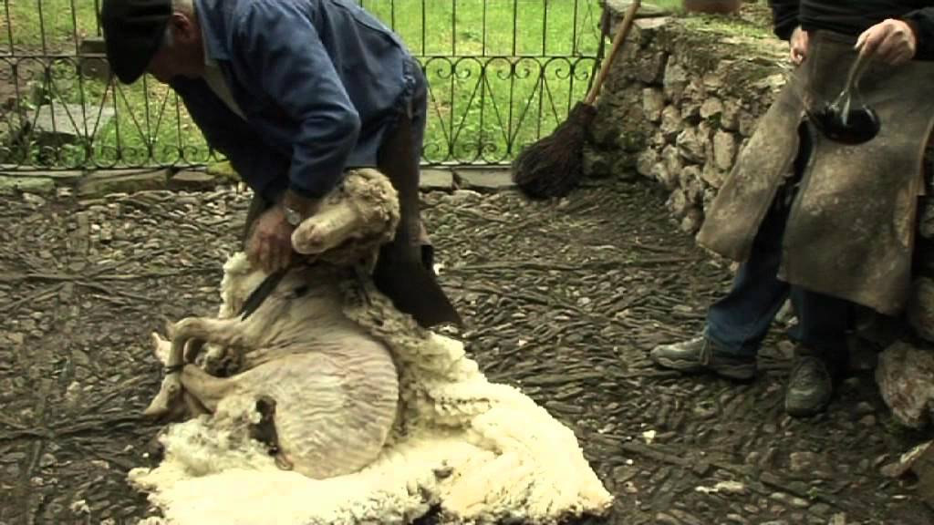 RANCHO ESQUILEO BRIEVA HD