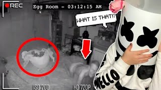 THEY BOUGHT A EGG OFF THE DARKWEB.. *Scary*